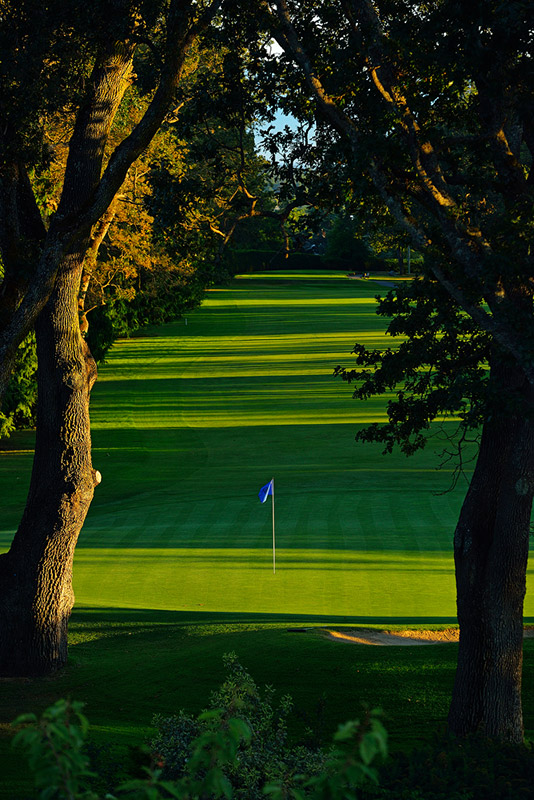 View behind 18th green 